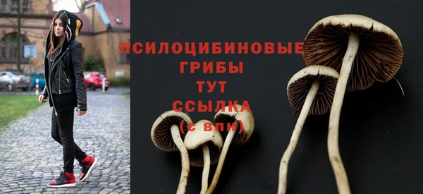 гашиш Богородск