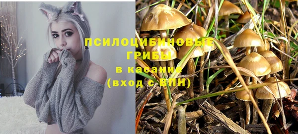 соль курить ск Богданович