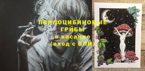 МДПВ Богородицк