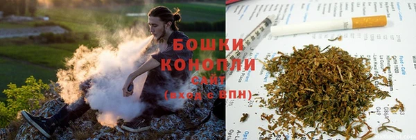 МДПВ Богородицк