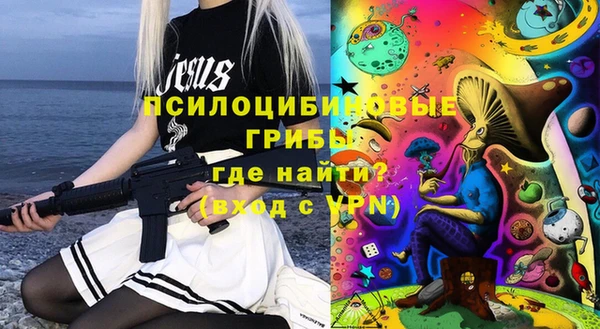 МДПВ Богородицк
