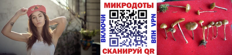 Псилоцибиновые грибы Psilocybe Ленск